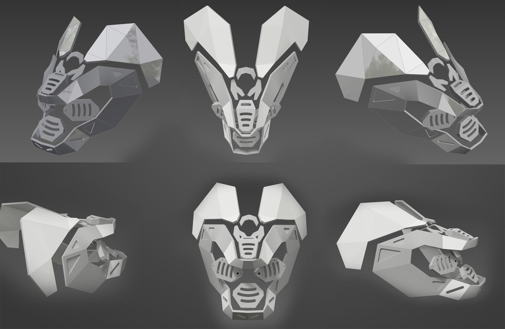 Updated head concept